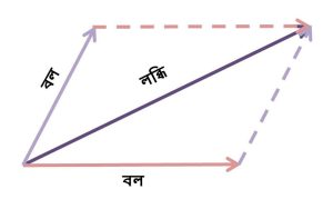 ভেক্টর যোগের সামান্তরিক সূত্র